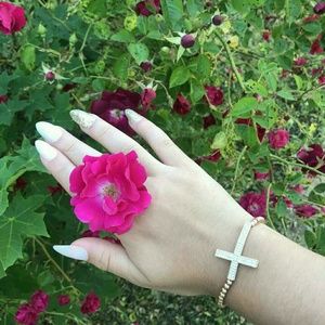 Meet your Posher, Palona